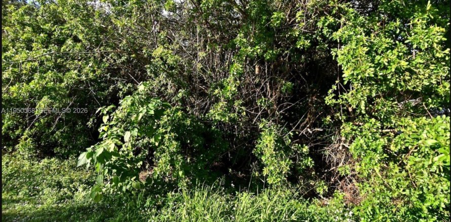 Land in St. Lucie, Florida № 2158162