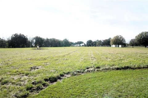 Villa ou maison à vendre à Plant City, Floride: 3 chambres, 194.44 m2 № 964609 - photo 12
