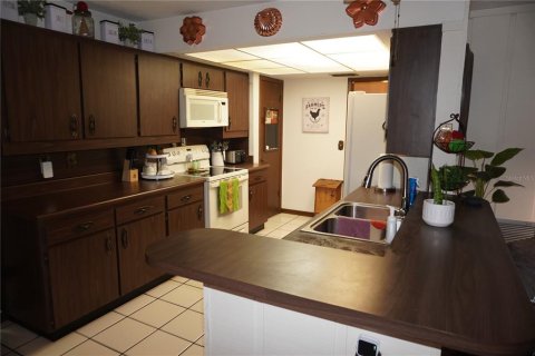 Villa ou maison à vendre à Plant City, Floride: 3 chambres, 194.44 m2 № 964609 - photo 30