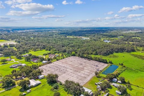 Land in Plant City, Florida № 1901334 - photo 14