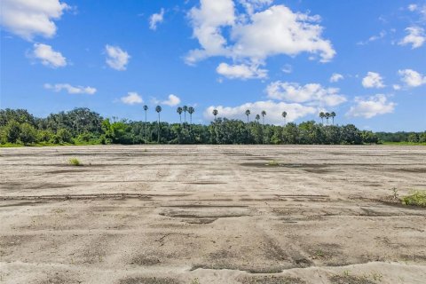 Land in Plant City, Florida № 1901334 - photo 26