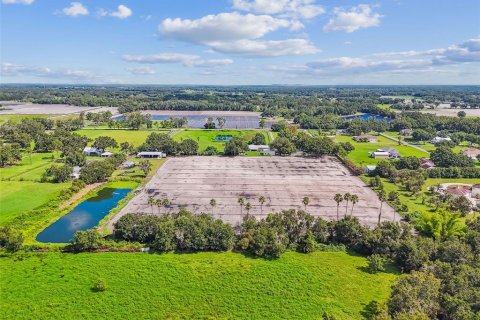 Land in Plant City, Florida № 1901334 - photo 7