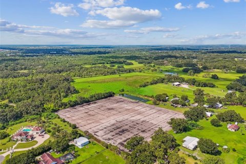 Land in Plant City, Florida № 1901334 - photo 12