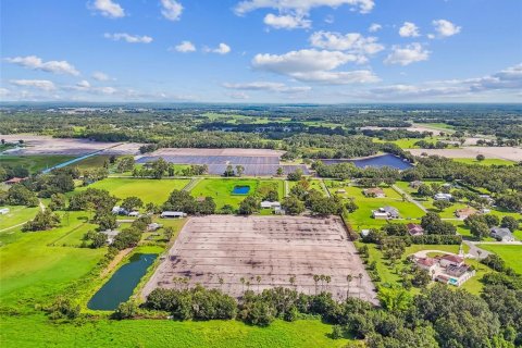 Land in Plant City, Florida № 1901334 - photo 18