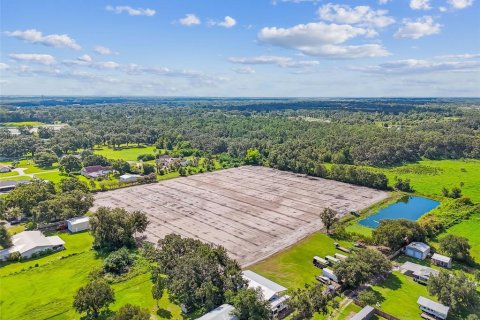 Land in Plant City, Florida № 1901334 - photo 3