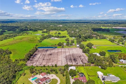 Land in Plant City, Florida № 1901334 - photo 22