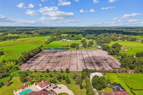 Land in Plant City, Florida № 1901334 - photo 10