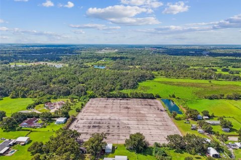 Land in Plant City, Florida № 1901334 - photo 13