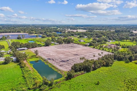 Land in Plant City, Florida № 1901334 - photo 6