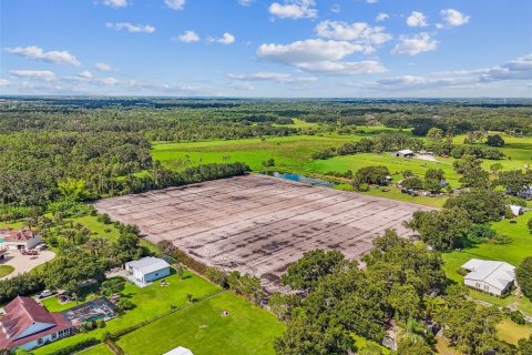 Land in Plant City, Florida № 1901334 - photo 11