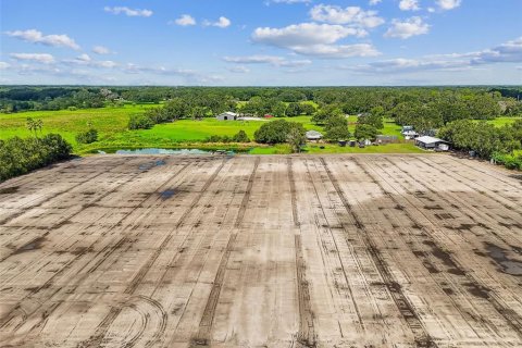 Land in Plant City, Florida № 1901334 - photo 23