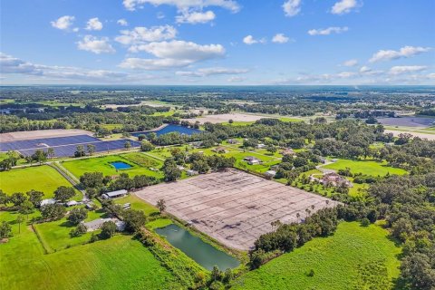 Land in Plant City, Florida № 1901334 - photo 17