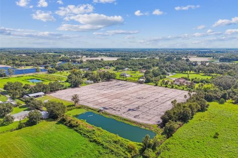 Land in Plant City, Florida № 1901334 - photo 5