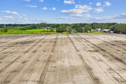 Land in Plant City, Florida № 1901334 - photo 30