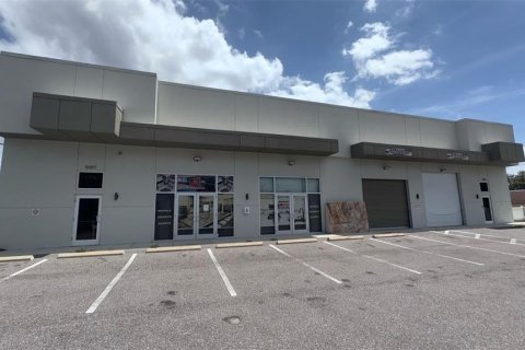 Commercial property in Tampa, Florida 1027.78 sq.m. № 1823255 - photo 1