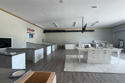Commercial property in Tampa, Florida 1027.78 sq.m. № 1823255 - photo 4
