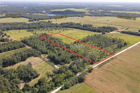 Land in Dade City, Florida № 1536494 - photo 2