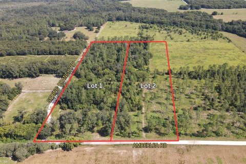 Land in Dade City, Florida № 1536494 - photo 3