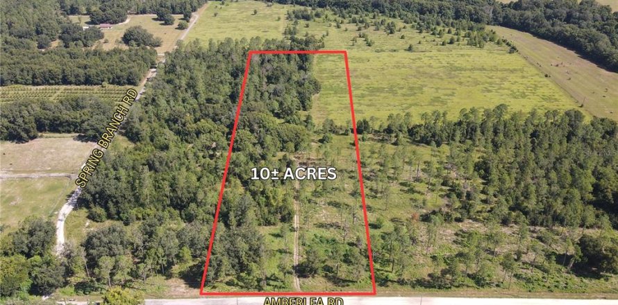 Land in Dade City, Florida № 1536494