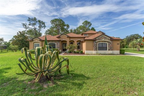 Villa ou maison à vendre à Clermont, Floride: 5 chambres, 359.81 m2 № 1813091 - photo 4