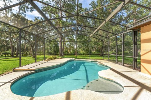 Villa ou maison à vendre à Clermont, Floride: 5 chambres, 359.81 m2 № 1813091 - photo 18