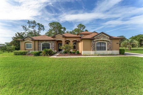 Villa ou maison à vendre à Clermont, Floride: 5 chambres, 359.81 m2 № 1813091 - photo 1
