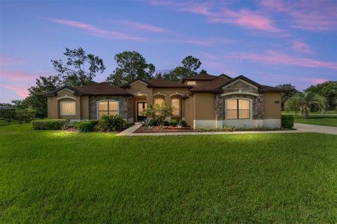 Villa ou maison à vendre à Clermont, Floride: 5 chambres, 359.81 m2 № 1813091 - photo 5