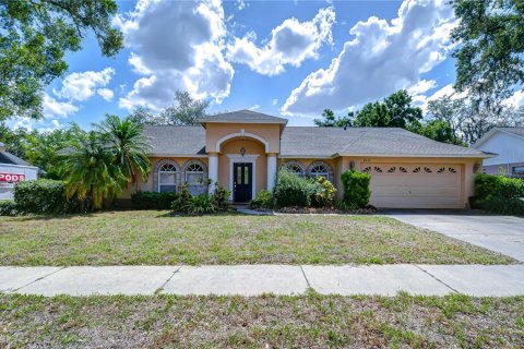 Villa ou maison à vendre à Valrico, Floride: 4 chambres, 240.71 m2 № 1788274 - photo 1
