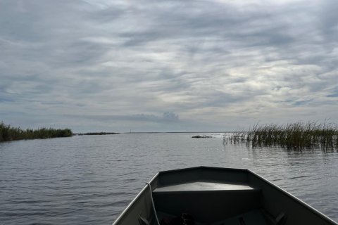 Land in Okeechobee, Florida № 778463 - photo 1