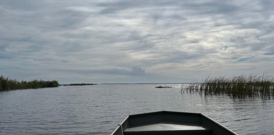 Land in Okeechobee, Florida № 778463