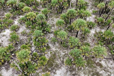 Land in Naples, Florida № 1911721 - photo 5