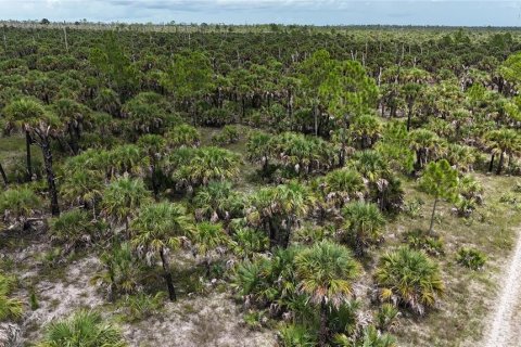 Land in Naples, Florida № 1911721 - photo 9