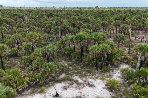 Land in Naples, Florida № 1911721 - photo 6