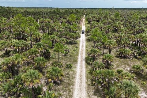 Land in Naples, Florida № 1911721 - photo 3