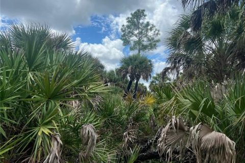 Land in Naples, Florida № 1911721 - photo 12