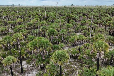 Land in Naples, Florida № 1911721 - photo 4
