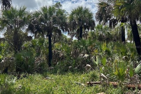 Land in Naples, Florida № 1911721 - photo 11
