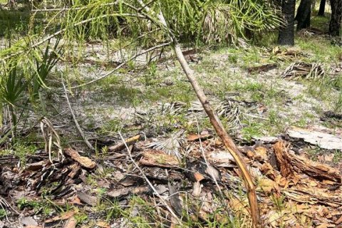 Land in Naples, Florida № 1911721 - photo 20