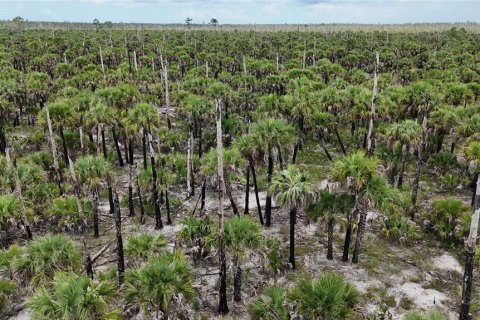 Land in Naples, Florida № 1911721 - photo 8