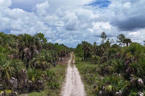 Land in Naples, Florida № 1911721 - photo 25