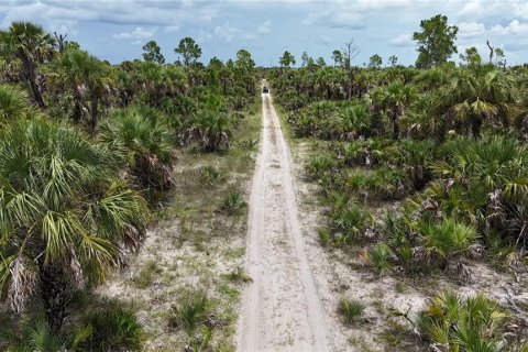 Land in Naples, Florida № 1911721 - photo 13