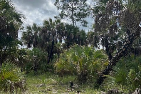 Land in Naples, Florida № 1911721 - photo 14