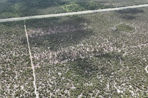 Land in Naples, Florida № 1911721 - photo 28