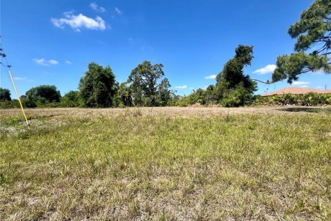 Land in Placida, Florida № 2163931
