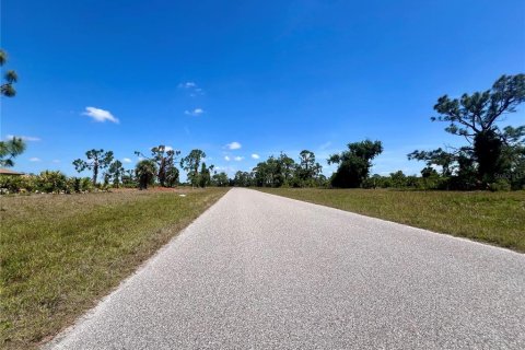 Land in Placida, Florida № 2163931 - photo 2