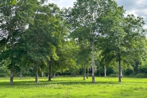 Land in Astatula, Florida № 1765728 - photo 23