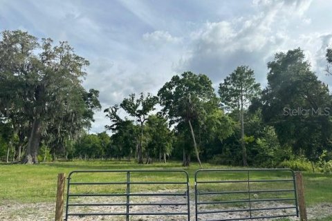 Land in Astatula, Florida № 1765728 - photo 11