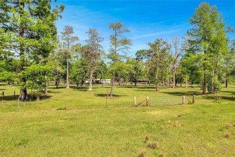 Land in Astatula, Florida № 1765728 - photo 2