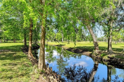 Land in Astatula, Florida № 1765728 - photo 4