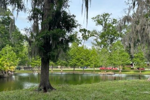 Land in Astatula, Florida № 1765728 - photo 26